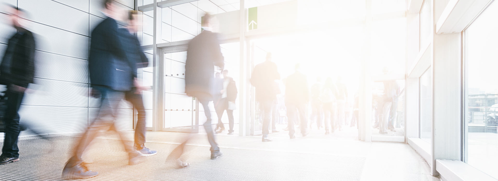 kompleksowa i profesjonalna